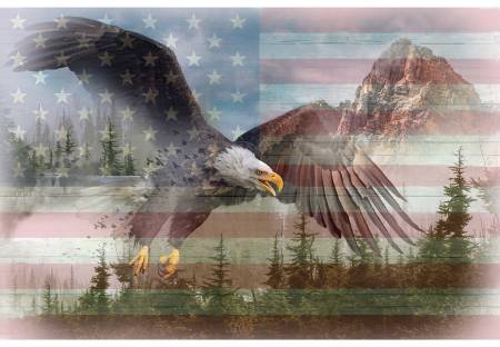 American Wild Eagle Americana Panel V5215-159
