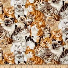 Petpourri 1253-Multi Cats